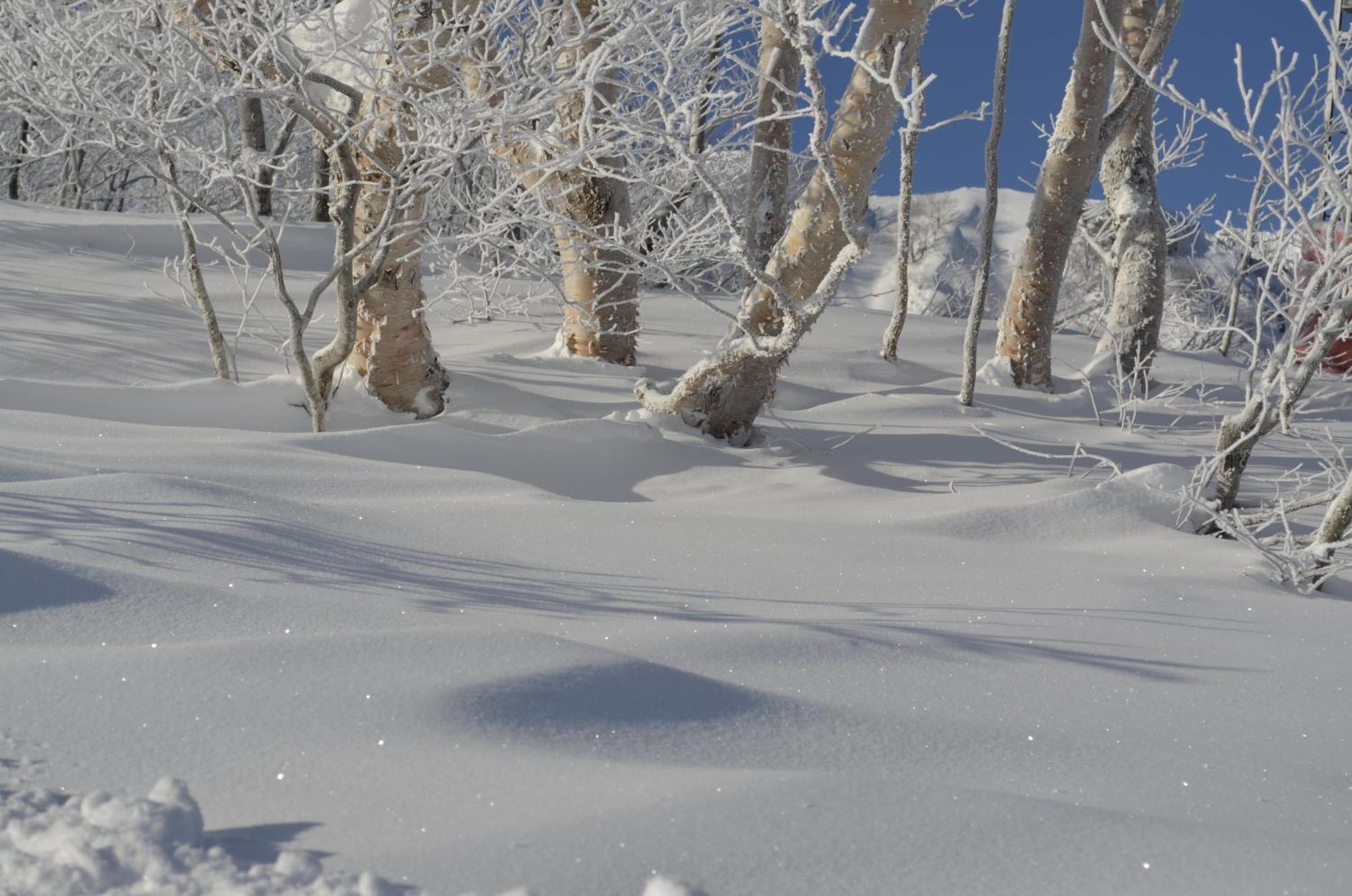 B&B Santana Hakuba Buitenkant foto