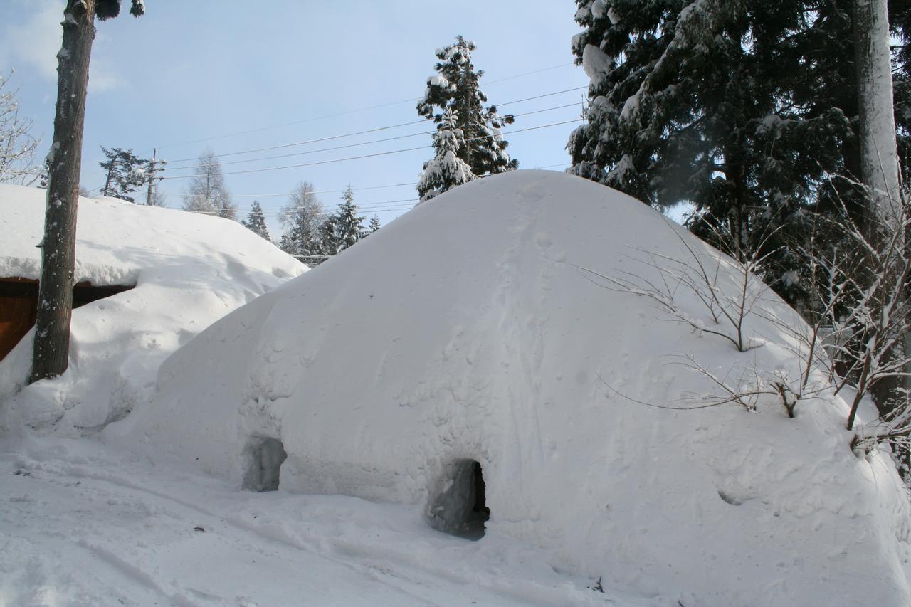 B&B Santana Hakuba Buitenkant foto
